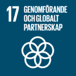 17 – Genomförande och globalt partnerskap.